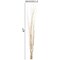 Uniquewise 47 Natural Dry Branches Authentic Willow Sticks for Home Decoration and Wedding Craft, White QI004415.WT - alternate 6